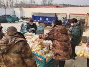 2121非凡·(中国集团)体育官方网站