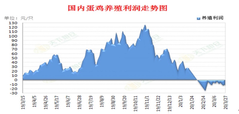 2121非凡·(中国集团)体育官方网站