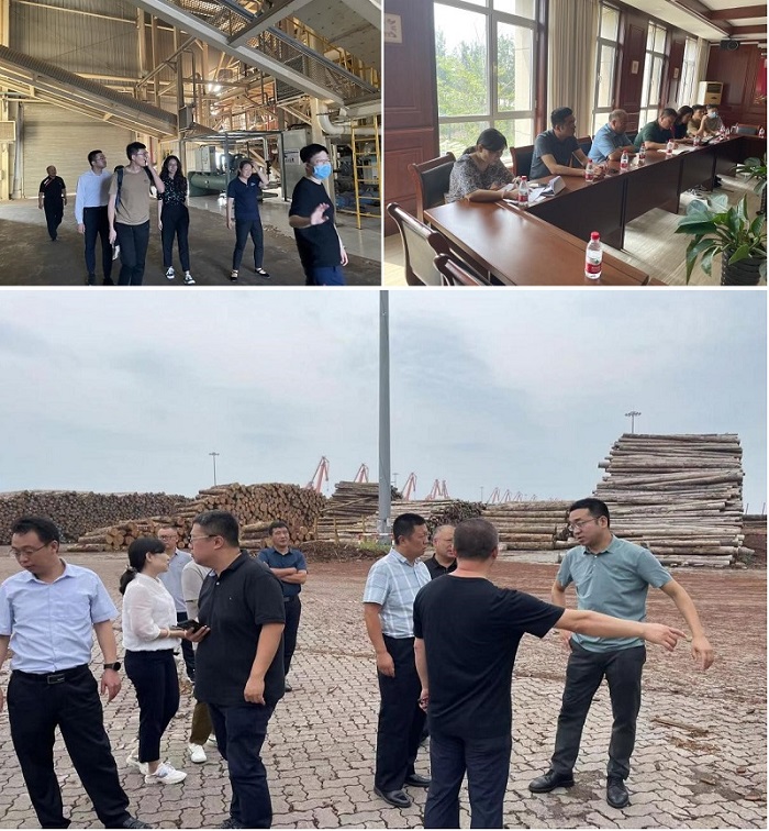 2121非凡·(中国集团)体育官方网站