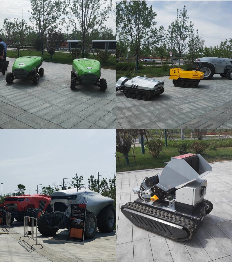 13ddd867caa52034c4c232919283199b